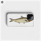 3-17_Ichtyologie-ou-Histoire-naturelle_phone