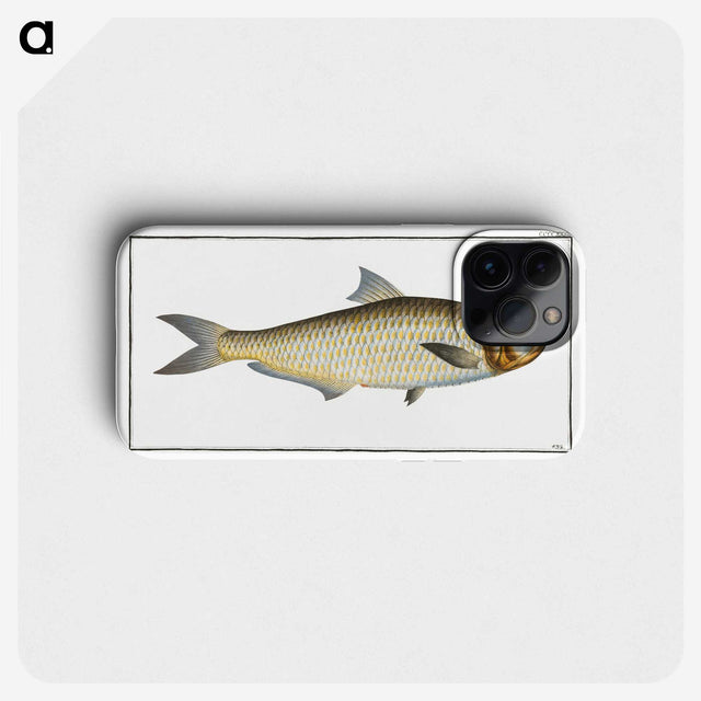 3-17_Ichtyologie-ou-Histoire-naturelle_phone