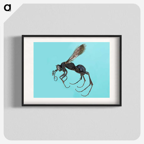 3-17_Insects-Unlocked-Project_blk