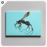 3-17_Insects-Unlocked-Project_canvas