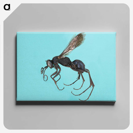 3-17_Insects-Unlocked-Project_canvas