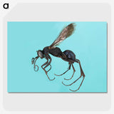 3-17_Insects-Unlocked-Project_picture-crop