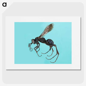3-17_Insects-Unlocked-Project_picture