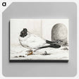 アートパネル-Pigeon and a nest with an egg - ジャン ベルナール Canvas.