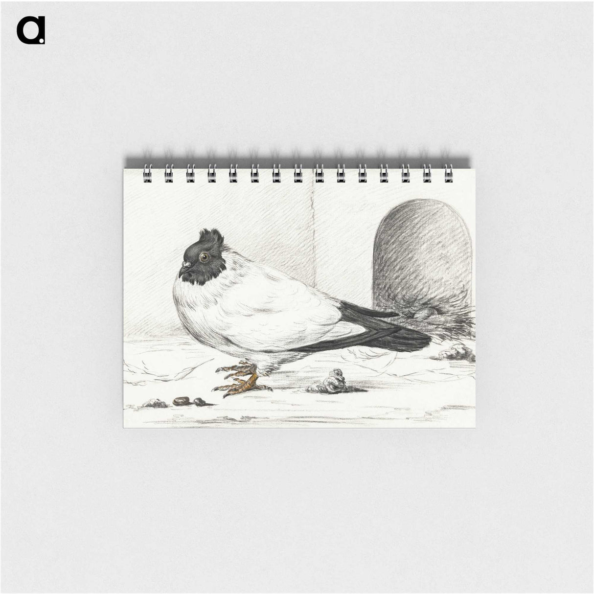 3-17_Jean-Bernard_memo