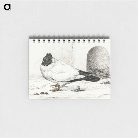 3-17_Jean-Bernard_memo