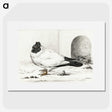 3-17_Jean-Bernard_picture