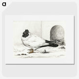 3-17_Jean-Bernard_picture