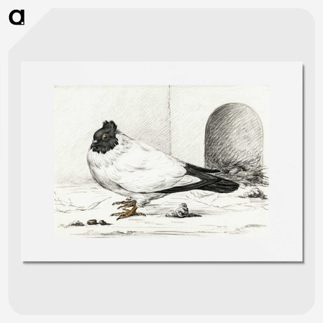 3-17_Jean-Bernard_picture