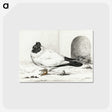 3-17_Jean-Bernard_postcard