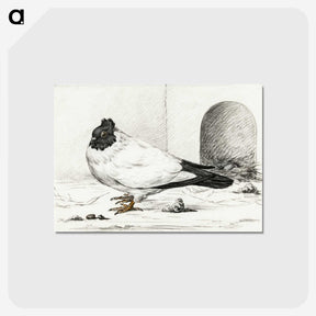 3-17_Jean-Bernard_postcard