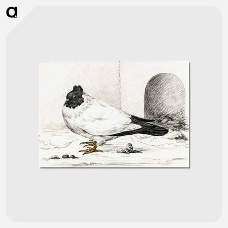 アートポストカード-Pigeon and a nest with an egg - ジャン ベルナール Postcard.