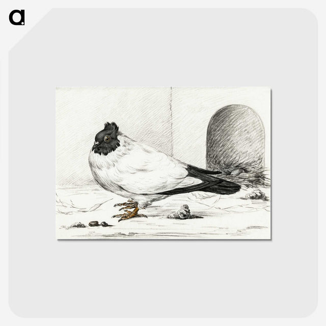 3-17_Jean-Bernard_postcard