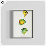 3-17_John-Gould_blk-crop