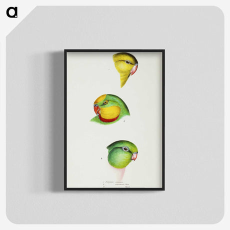 3-17_John-Gould_blk-crop