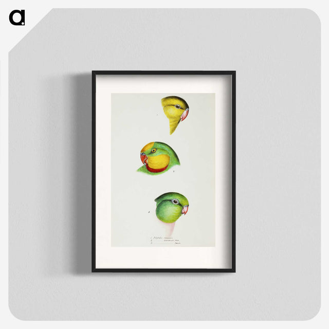 3-17_John-Gould_blk