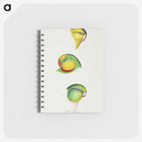 3-17_John-Gould_memo