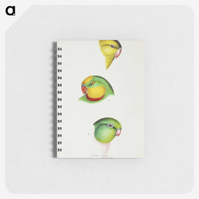 3-17_John-Gould_memo