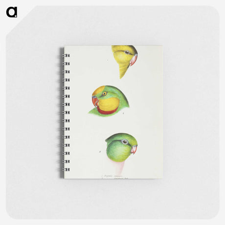 3-17_John-Gould_memo