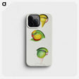 3-17_John-Gould_phone