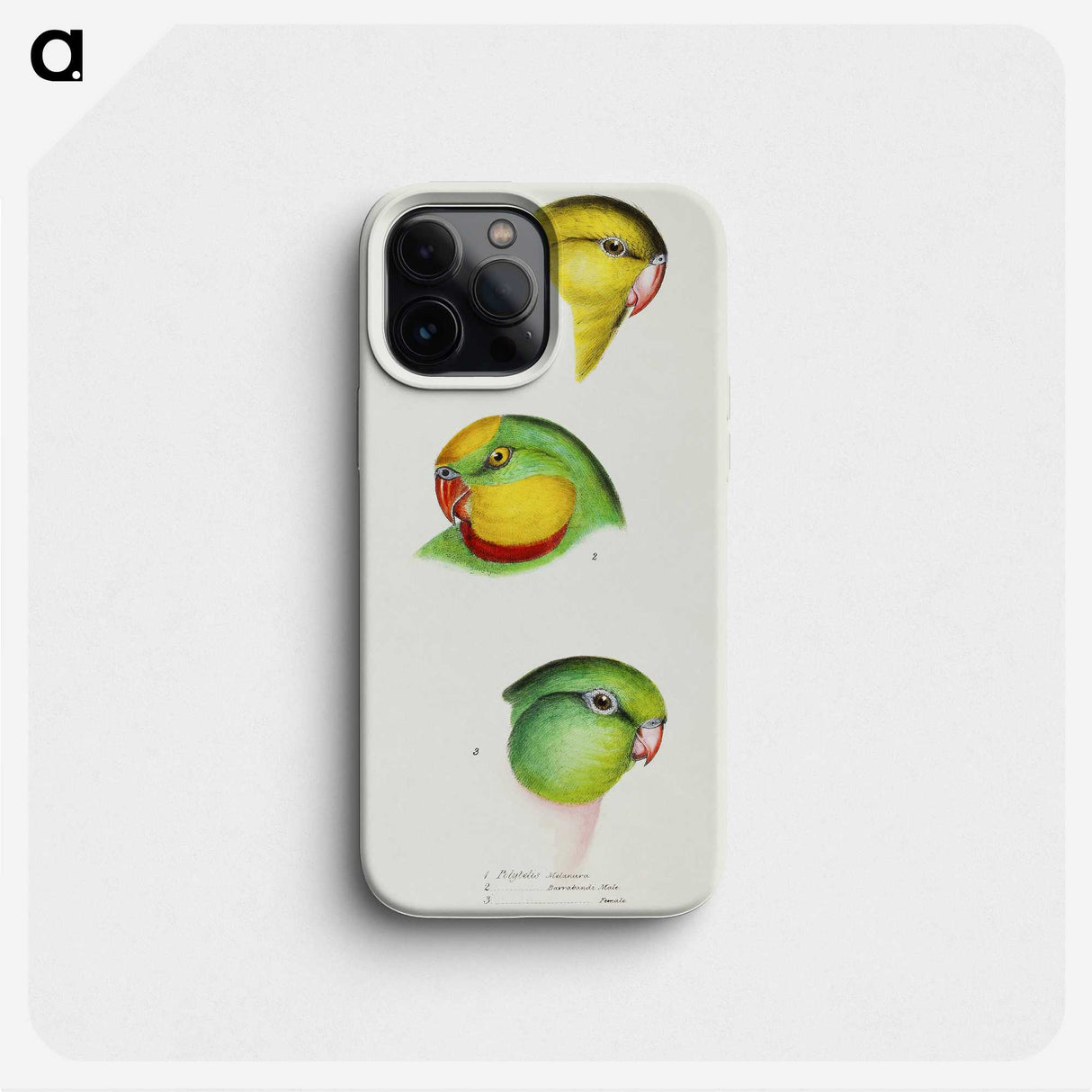 3-17_John-Gould_phone