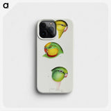 3-17_John-Gould_phone