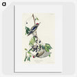 3-17_John-James-Audubon_picture