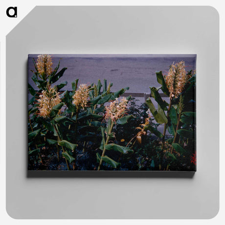 3-17_Leslie-Adkin_canvas