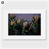 3-17_Leslie-Adkin_picture