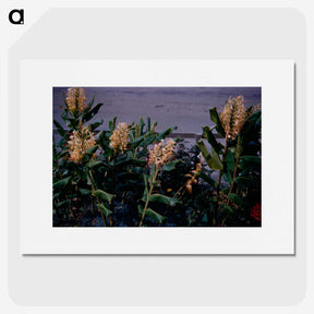 3-17_Leslie-Adkin_picture