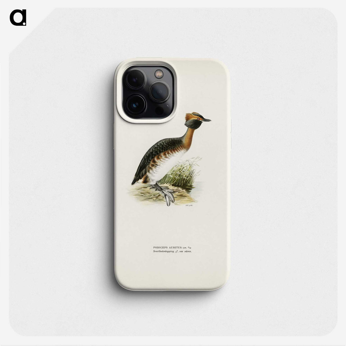3-17_Magnus-von-Wright_phone