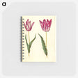 アートメモ帳-Tulipa gesneriana
 - マリア ジビーラ メーリアン Memo.