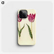 3-17_Maria-Sibylla-Merian_phone