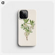 3-17_Mary-Vaux-Walcott_phone