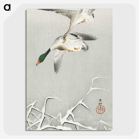 3-17_Ohara-Koson_picture-crop