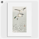 3-17_Ohara-Koson_picture