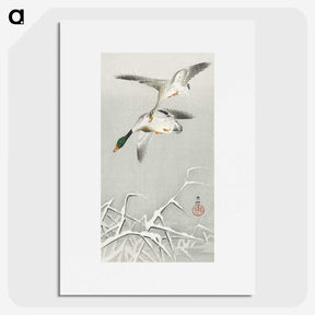 3-17_Ohara-Koson_picture