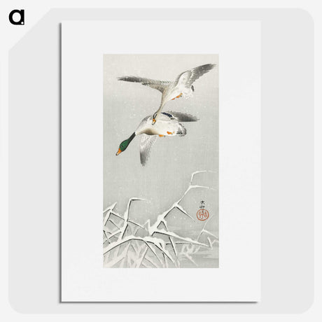 3-17_Ohara-Koson_picture