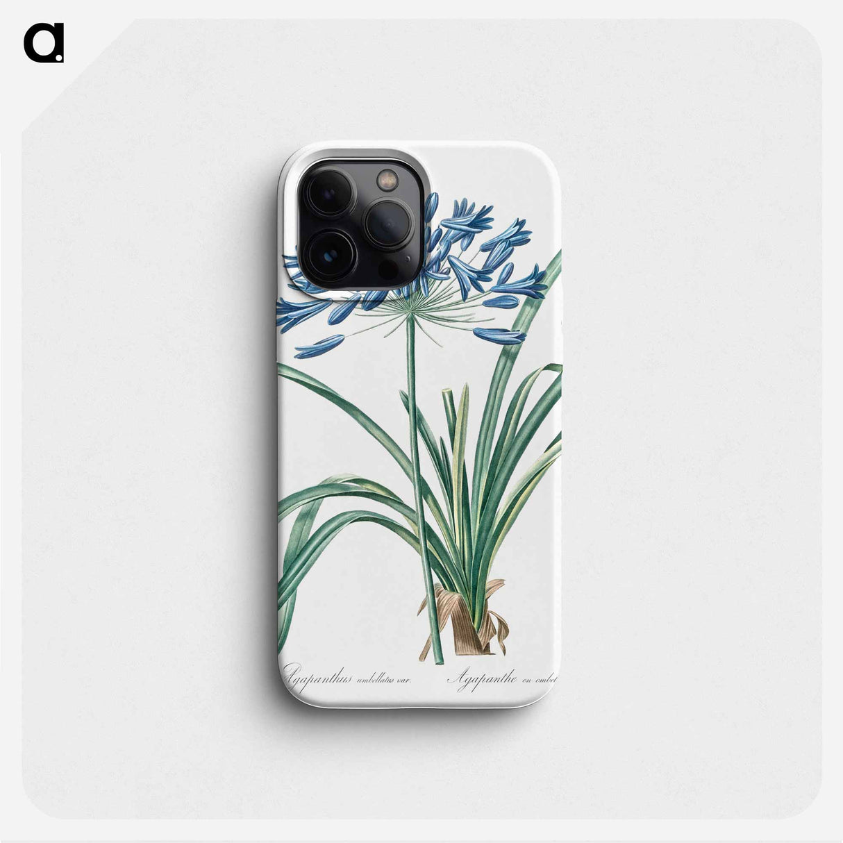 African lily illustration - ピエール ジョゼフ ルドゥーテ Phone Case.