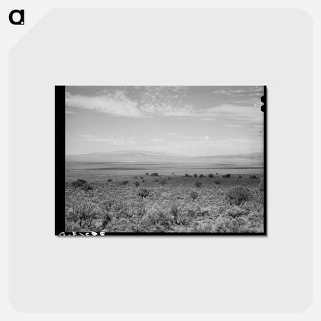 アートポストカード-This Is The Place
 - ラッセル リー Postcard.