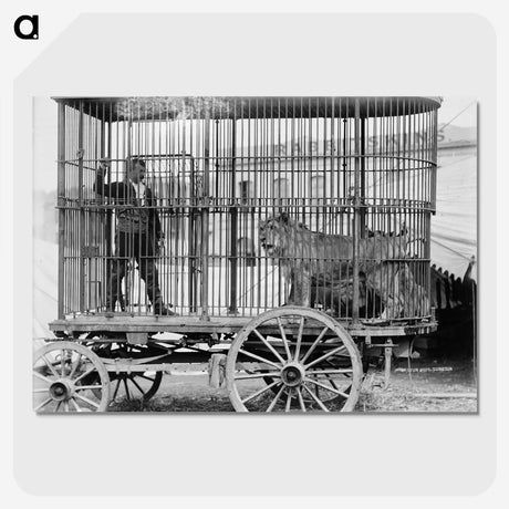 3-17_The-Burton-Brothers_picture-crop