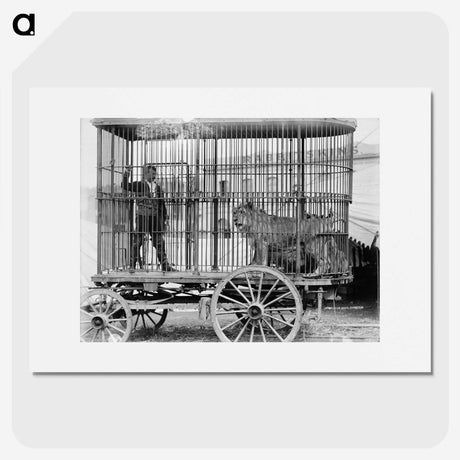 3-17_The-Burton-Brothers_picture