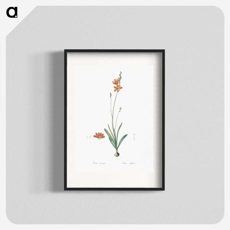 3-17_The-Lilies_blk