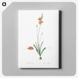 3-17_The-Lilies_canvas