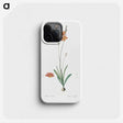 3-17_The-Lilies_phone