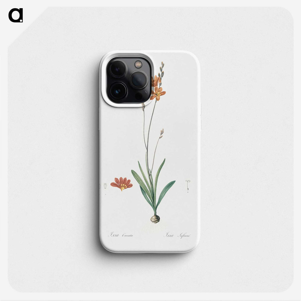 3-17_The-Lilies_phone