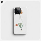 3-17_The-Lilies_phone