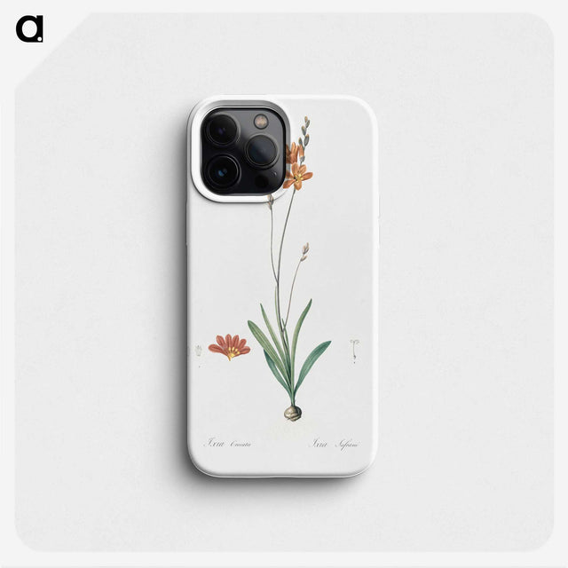 3-17_The-Lilies_phone
