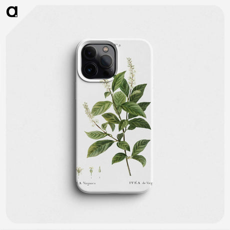 3-17_Treatise-on-Trees-and-Shrubs_phone