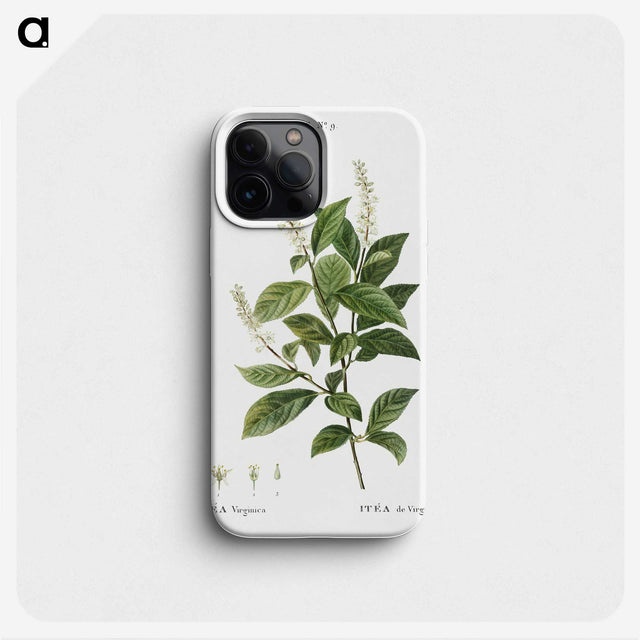 3-17_Treatise-on-Trees-and-Shrubs_phone